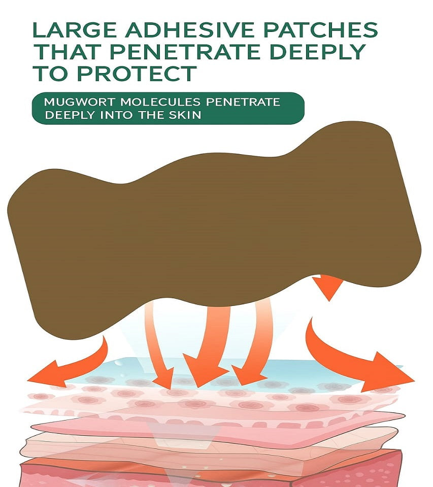 Premium Weight Loss Big Belly Patch