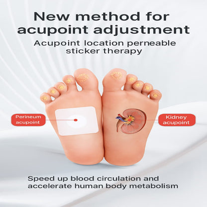 Huatangxiao Acupoint Pressure Stimulation Patch